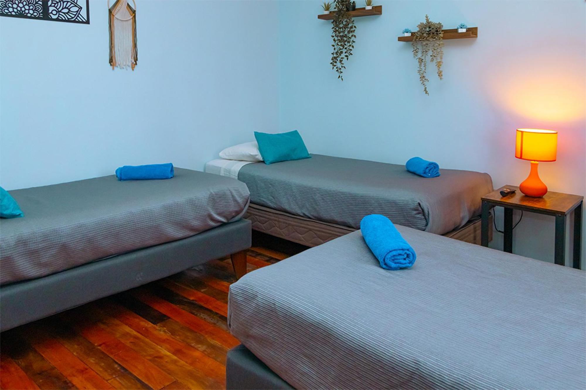 Tagle Casa Del Lado Santiago Providencia Bed & Breakfast Dış mekan fotoğraf